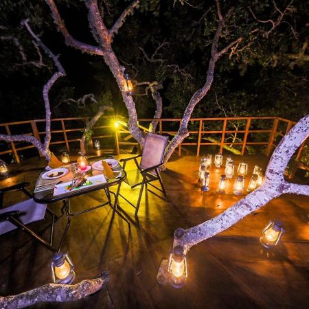 Tribe Yala - Luxury Camping Exteriör bild
