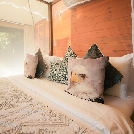 Tribe Yala - Luxury Camping Exteriör bild