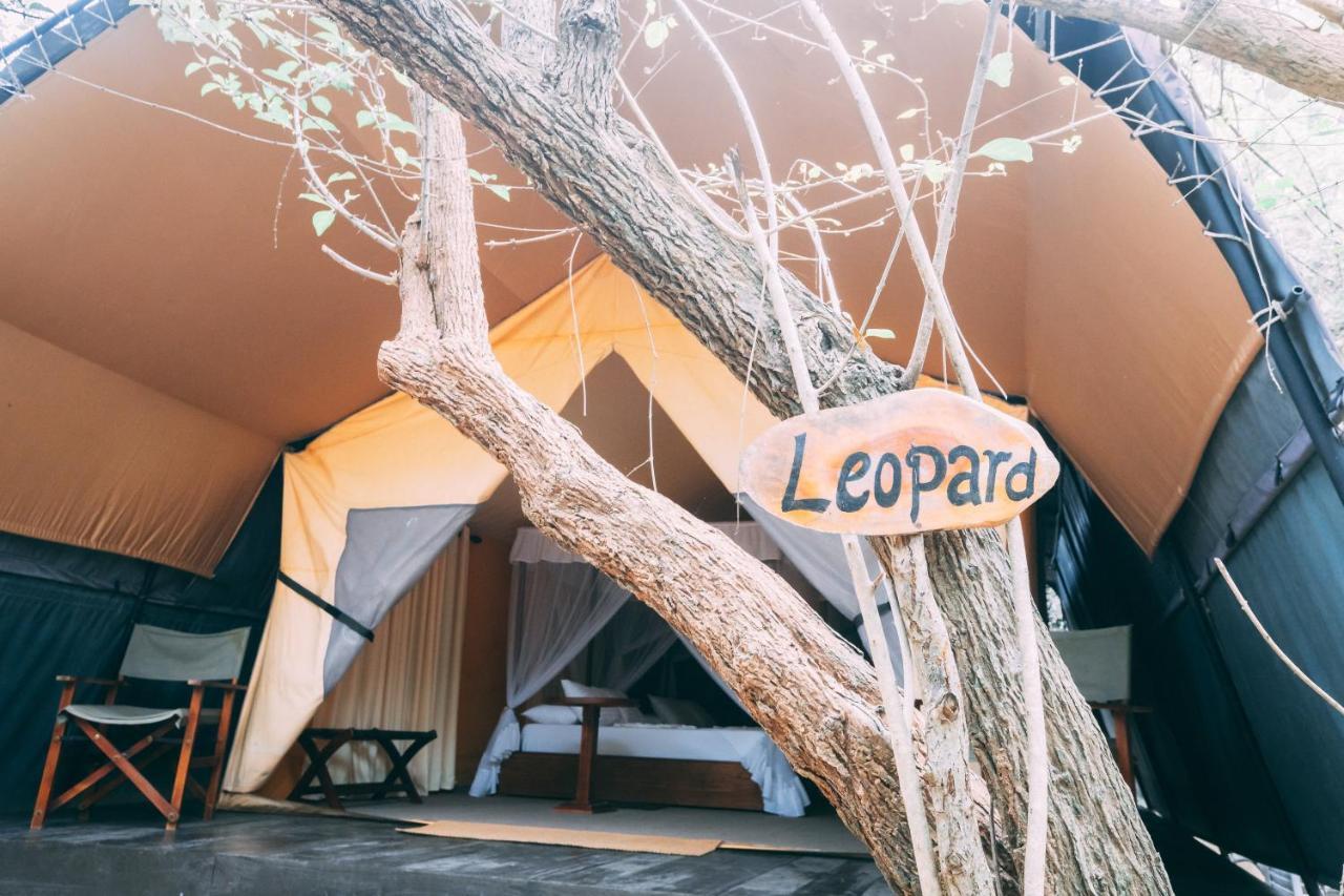 Tribe Yala - Luxury Camping Exteriör bild