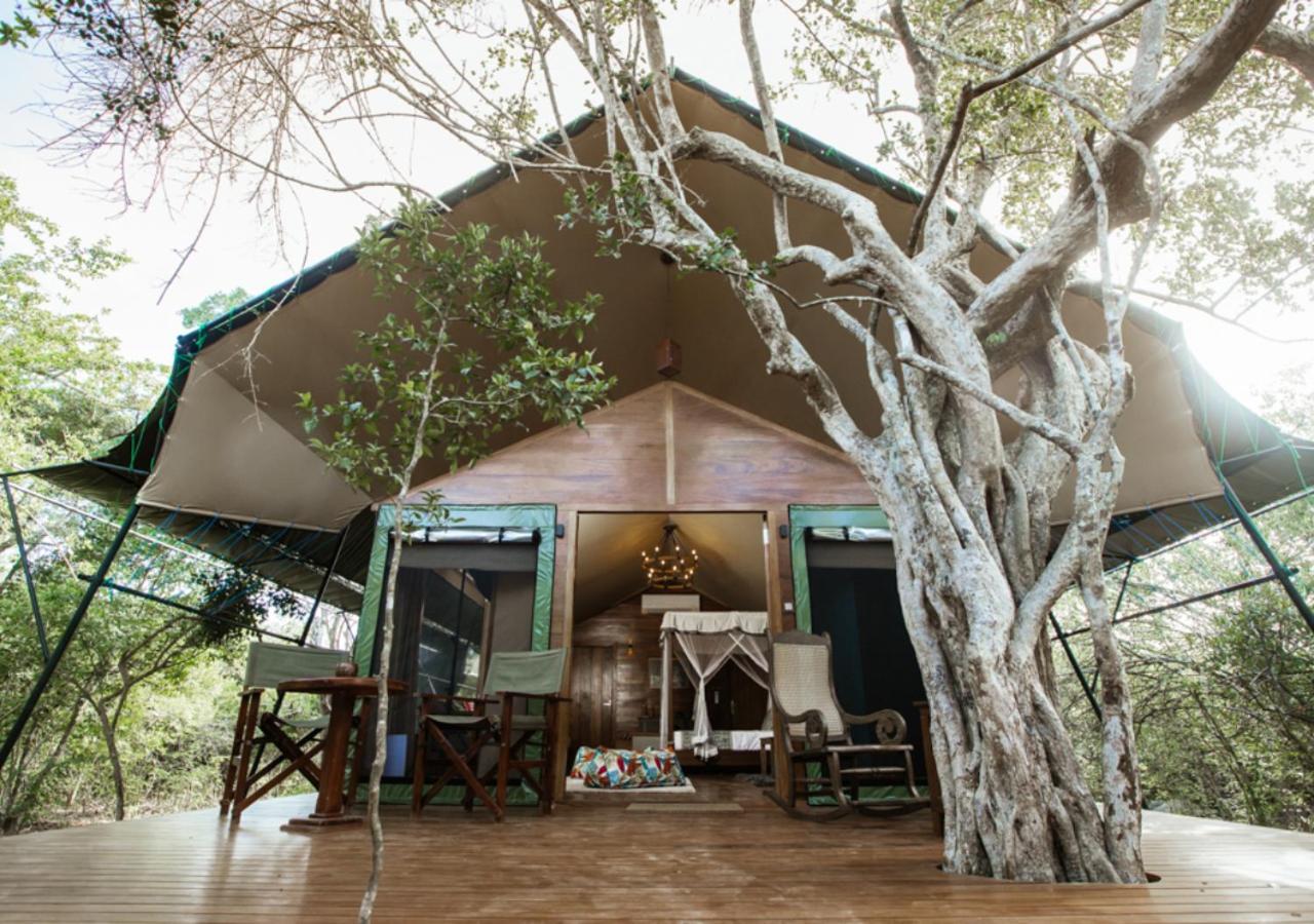 Tribe Yala - Luxury Camping Exteriör bild
