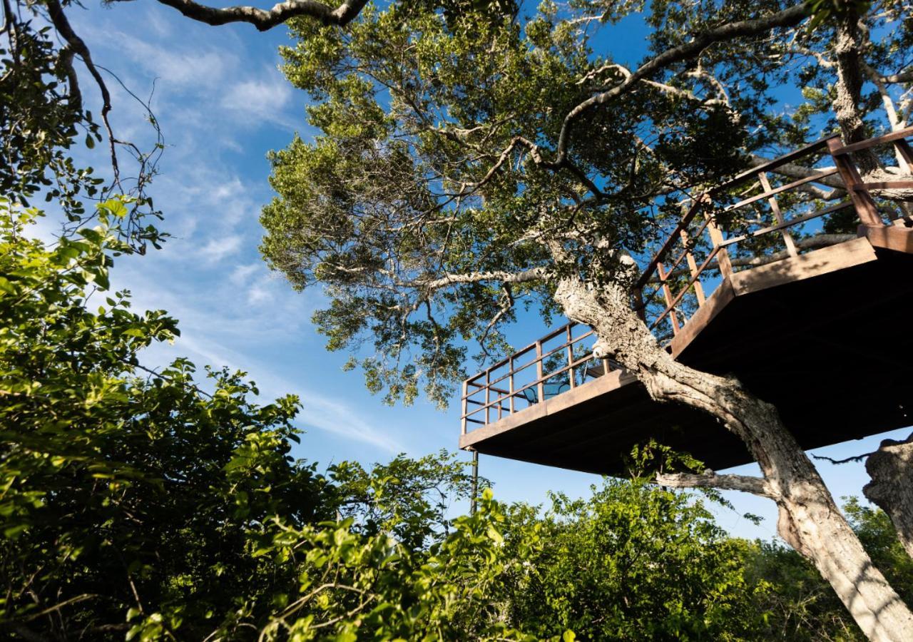 Tribe Yala - Luxury Camping Exteriör bild