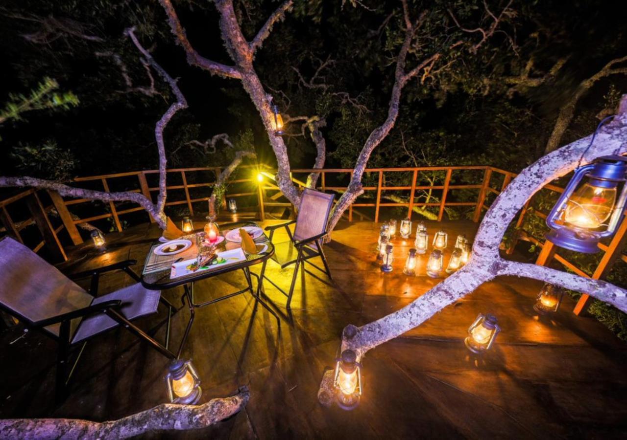 Tribe Yala - Luxury Camping Exteriör bild