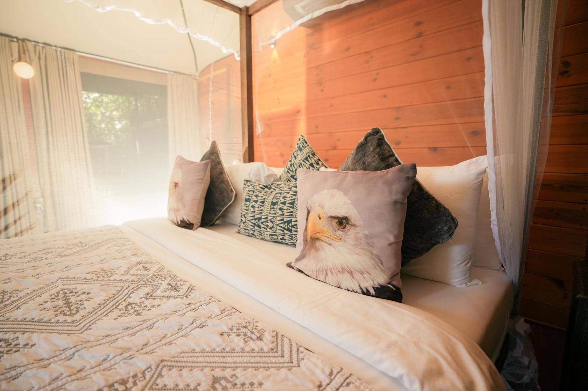 Tribe Yala - Luxury Camping Exteriör bild